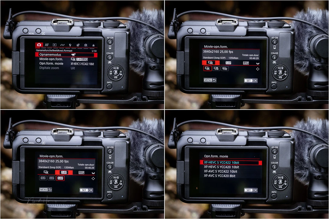 Some video settings (in the Dutch language, but you get the idea).
