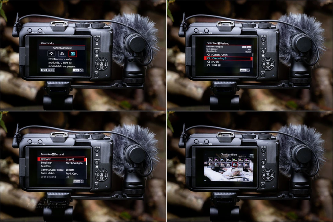 There are a decent amount of video options available. These four screenshots give an idea.