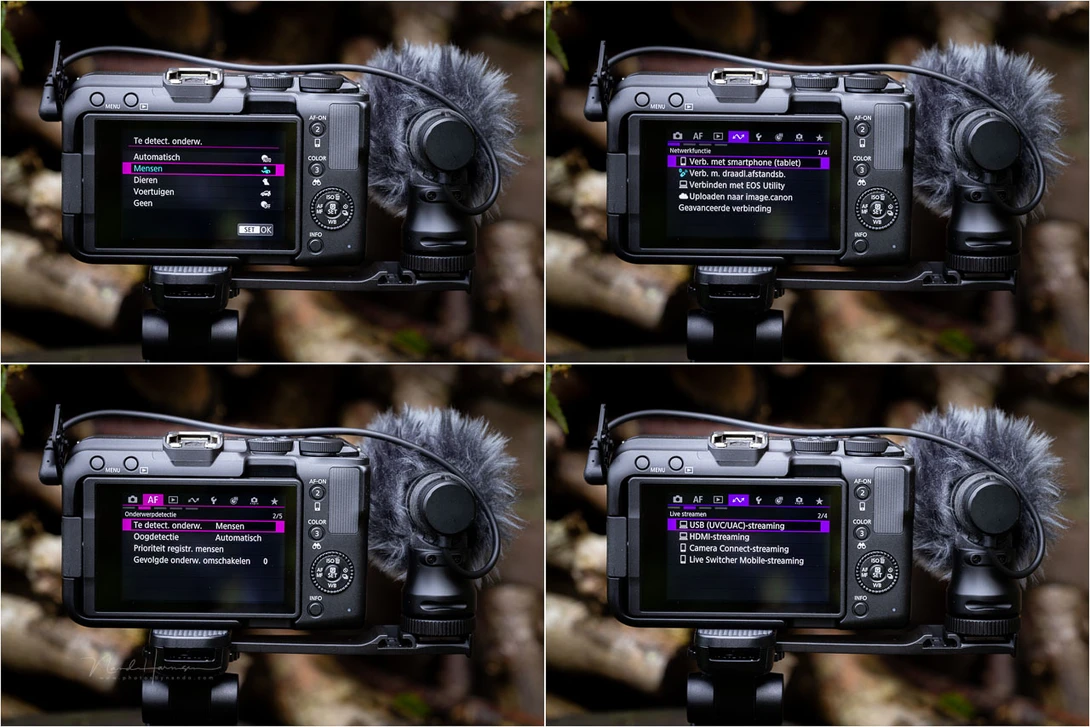 You can find the regular autofocus settings and subject detection options. A range of connectivity options is available.