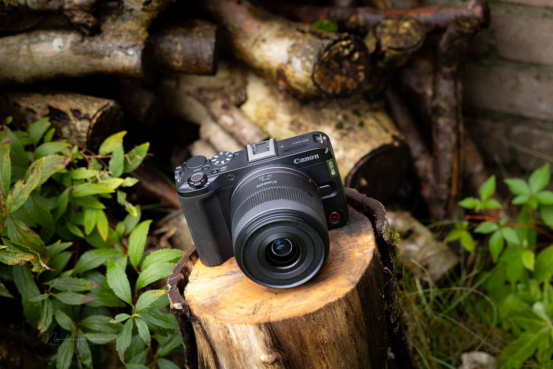 The Canon EOS R50 V with the&nbsp;RF-S 14-30mm f/4.5-6.3 IS STM PZ lens.