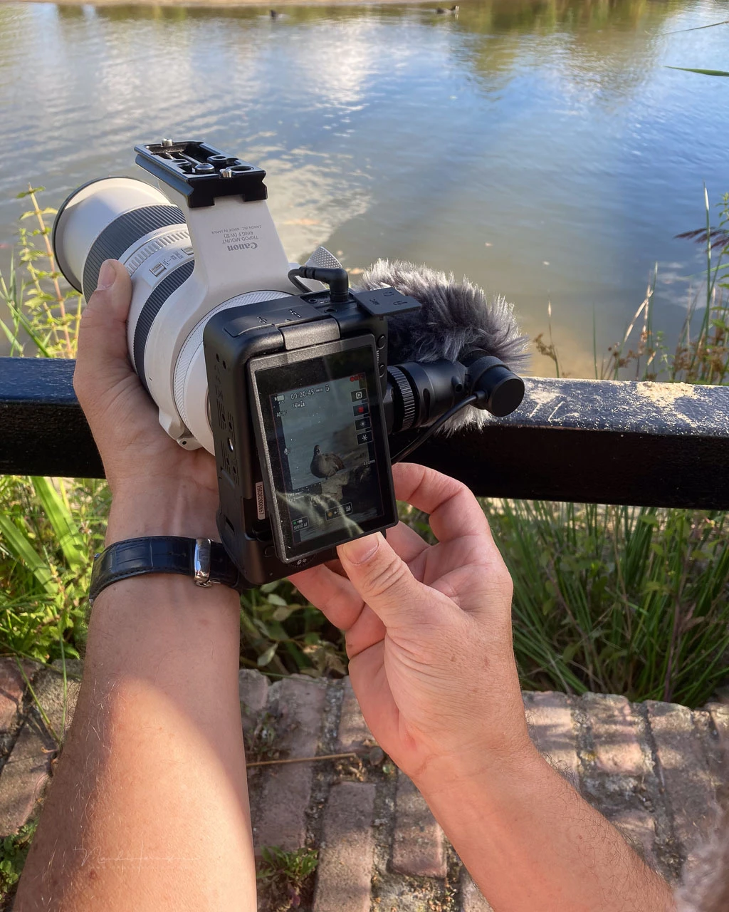 The digital image stabilization made it possible to record stable footage up to 500mm focal length. But it is difficult.