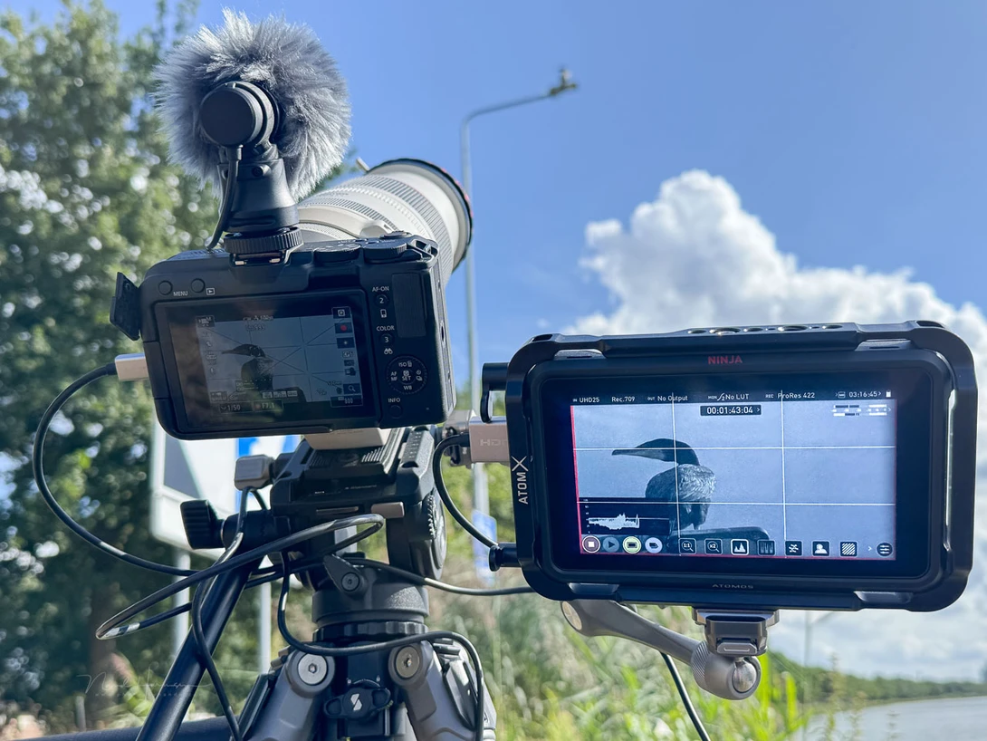 The simple video head can handle long focal lengths, but for more than 300mm I would advise a video head that is more heavy duty.