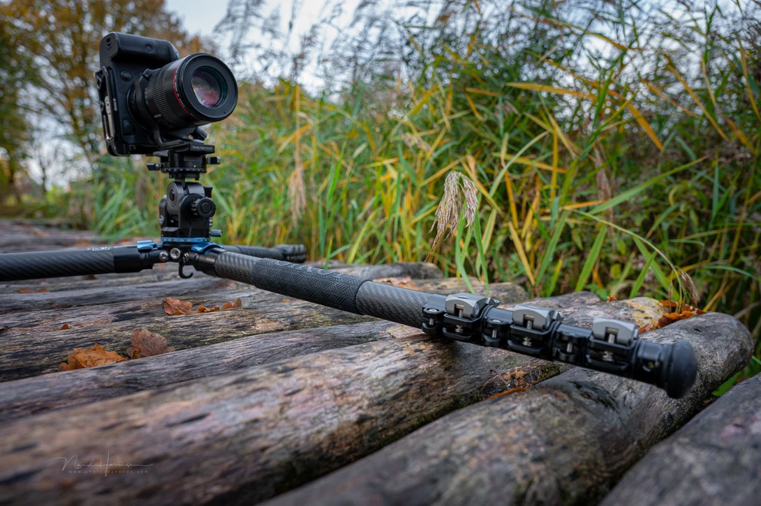 Camera mounted on wooden logs with reed grasses in soft-focus background.