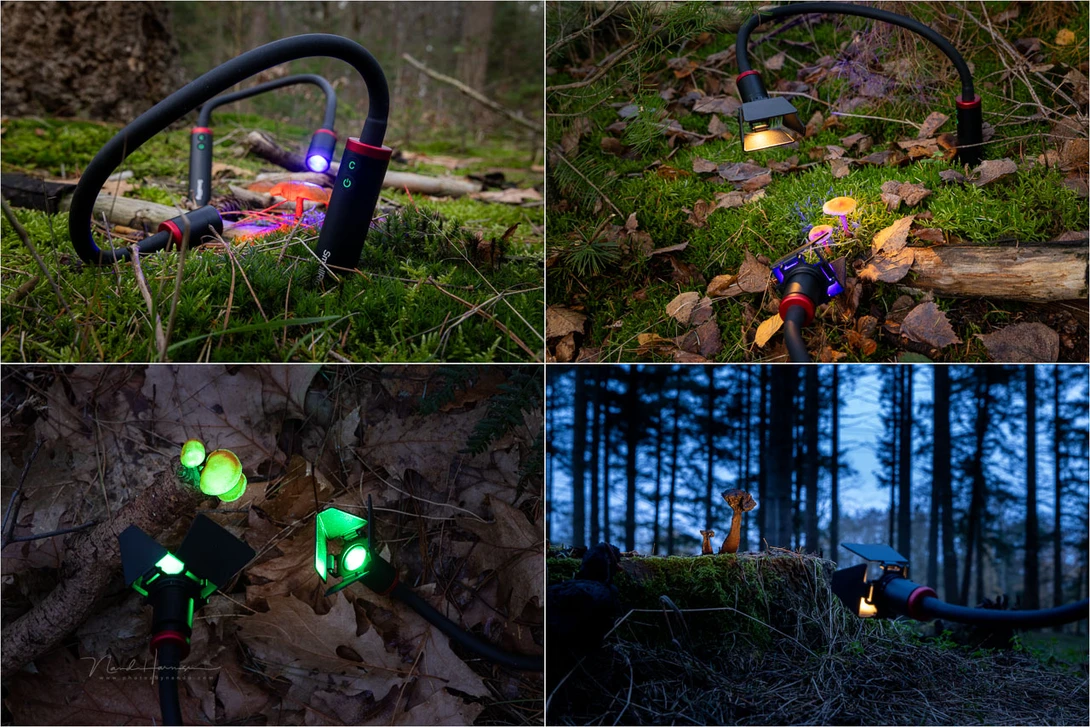Different placements of the RM 03 lights to show the flexibility these lights offer.