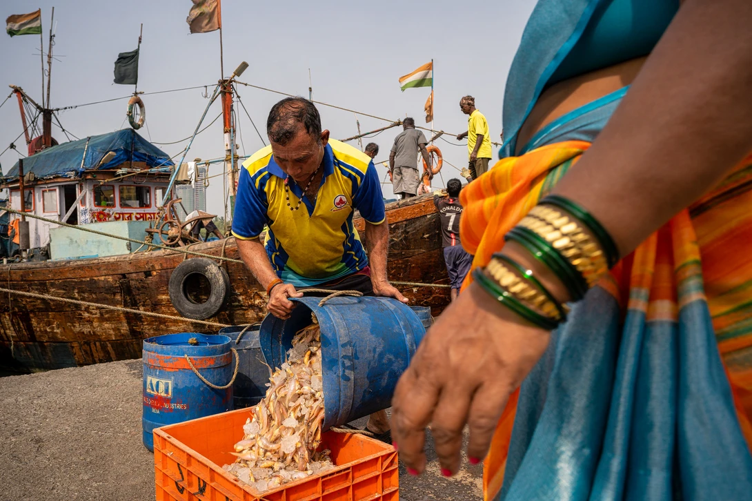 Fisherman in yellow and blue vest scoops catch into orange crate at wooden boat dock.
