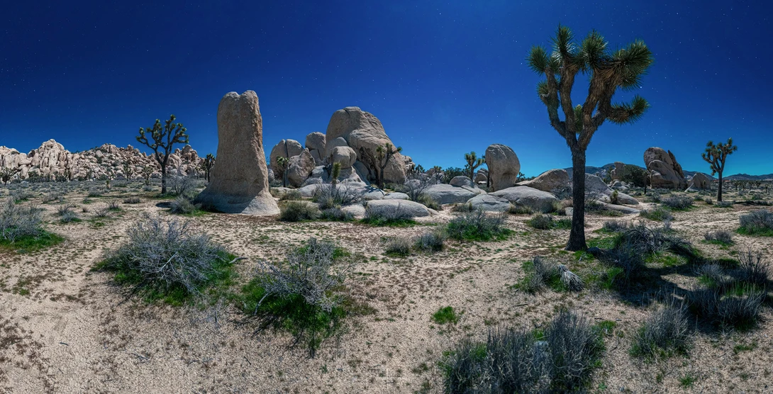 Desert landscape with distinctive rock formations and Joshua trees under clear blue sky.