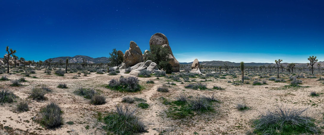 Desert landscape with large granite boulders and scattered Joshua trees under clear blue sky.
