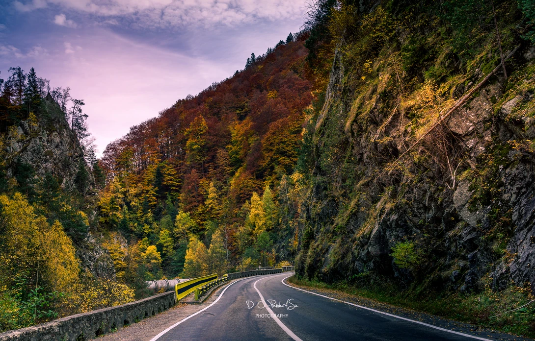 View on the road by D O Pandurasu