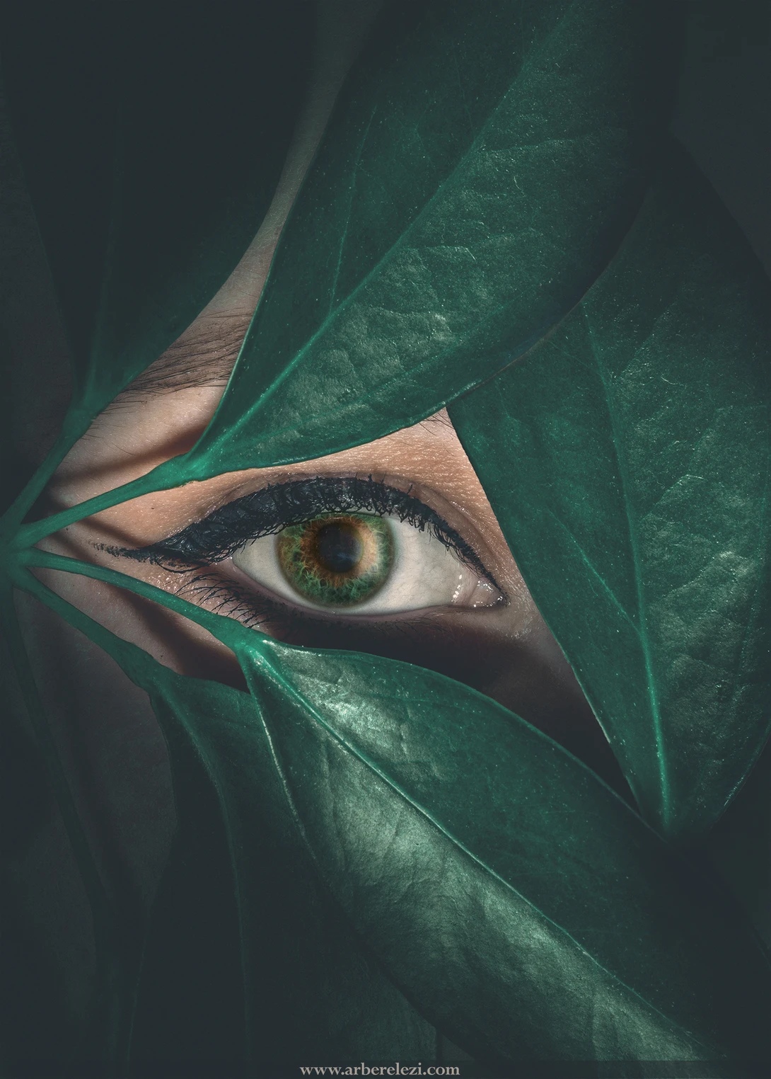 View Behind the Eye by Arber Elezi