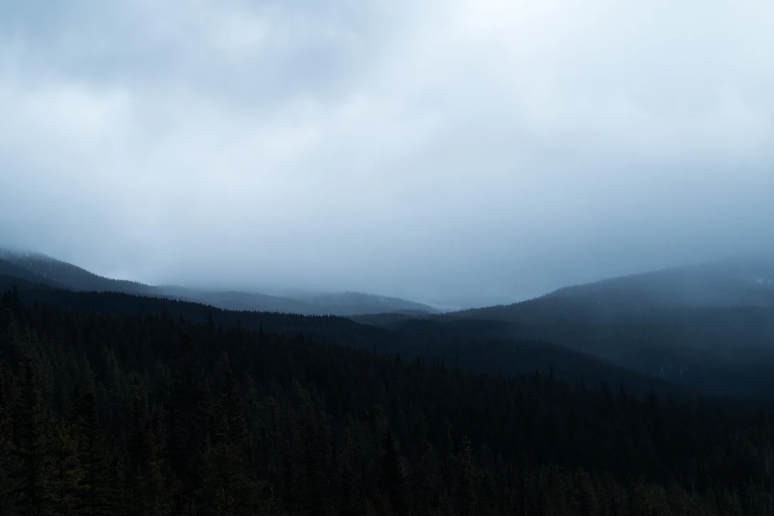 View 01ea8aaaa52d78dacee5b7a5f641d952.jpg by Brian Hanna