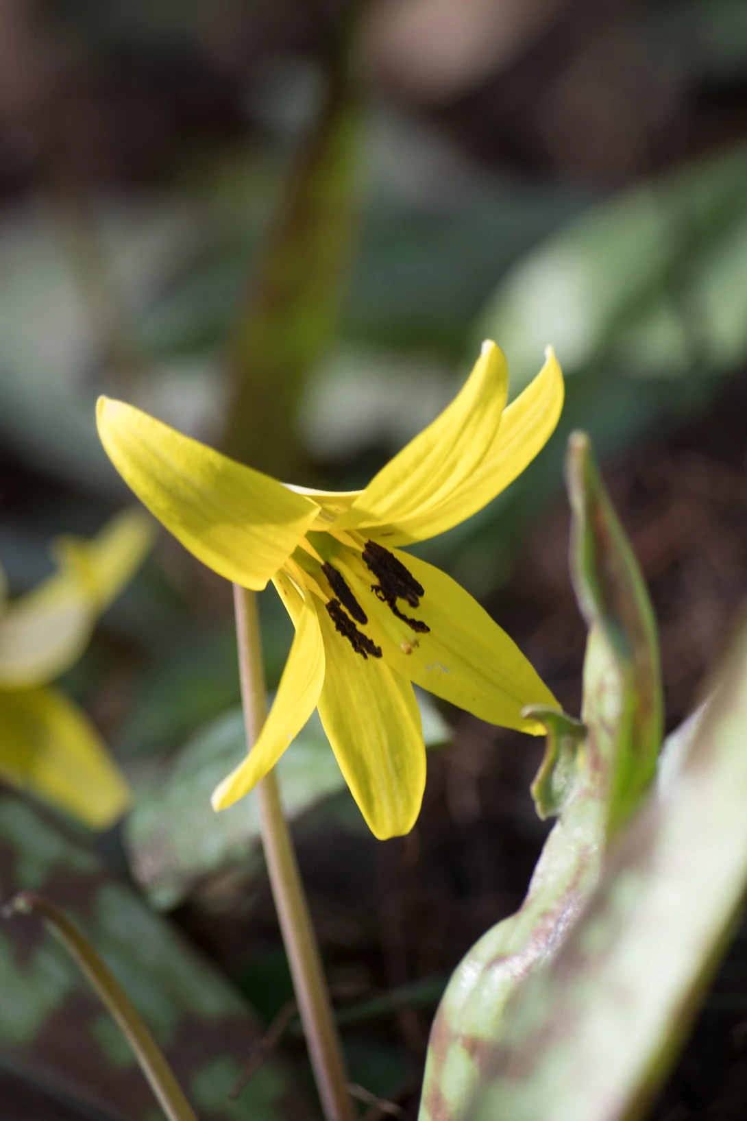 View f2a94f7cf80d25250b4fa2933933499a.jpeg by Keith Garrant