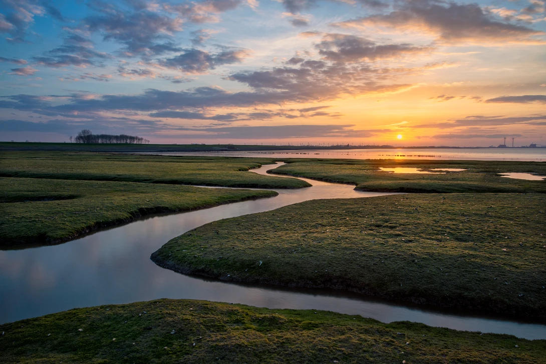 View Salt Marsh Stream by Patrick Snitjer