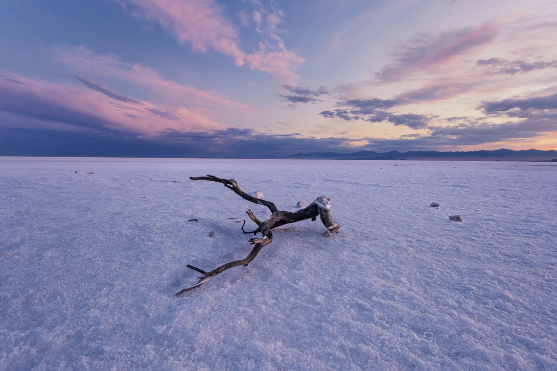 View Bonneville Branch by Patrick Snitjer