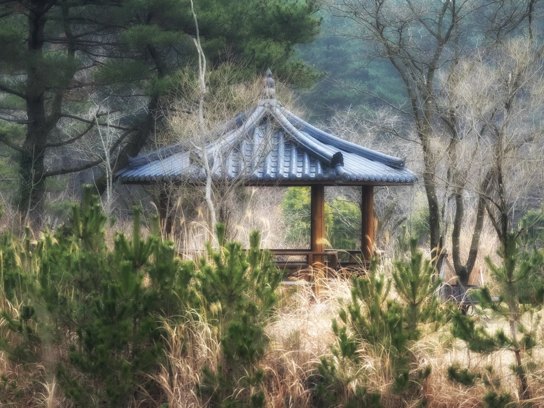 View Resting Place by Sebastian Von Szuts