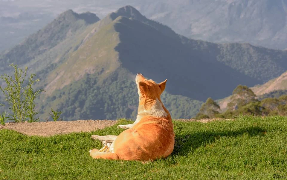 View Pondering by Vasanth David