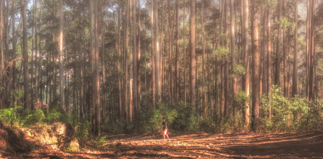 View Lost by Vasanth David