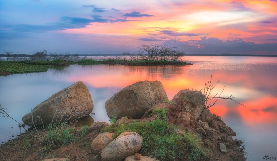View Vivid Colours by Vasanth David