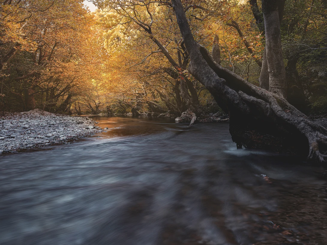 View Lost in a Fairy Tale by Dora Artemiadi