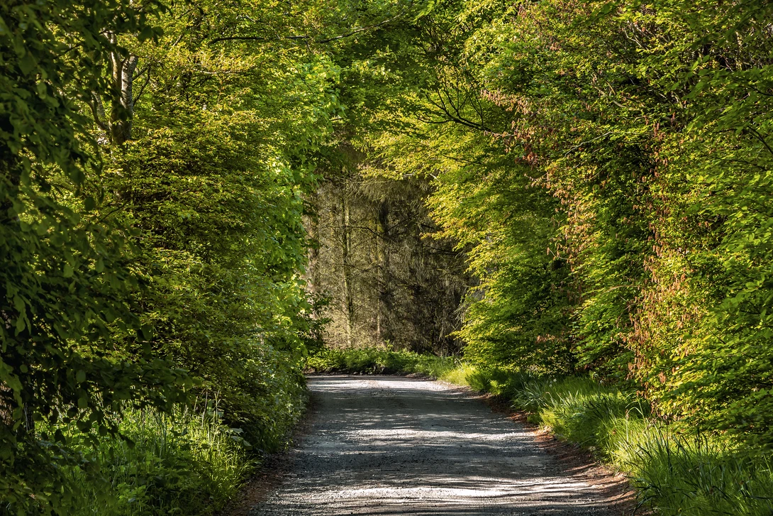 View Magic road by Anthony Anquetil