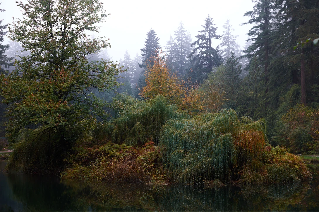 View Autumn by Giorgio Rivalta