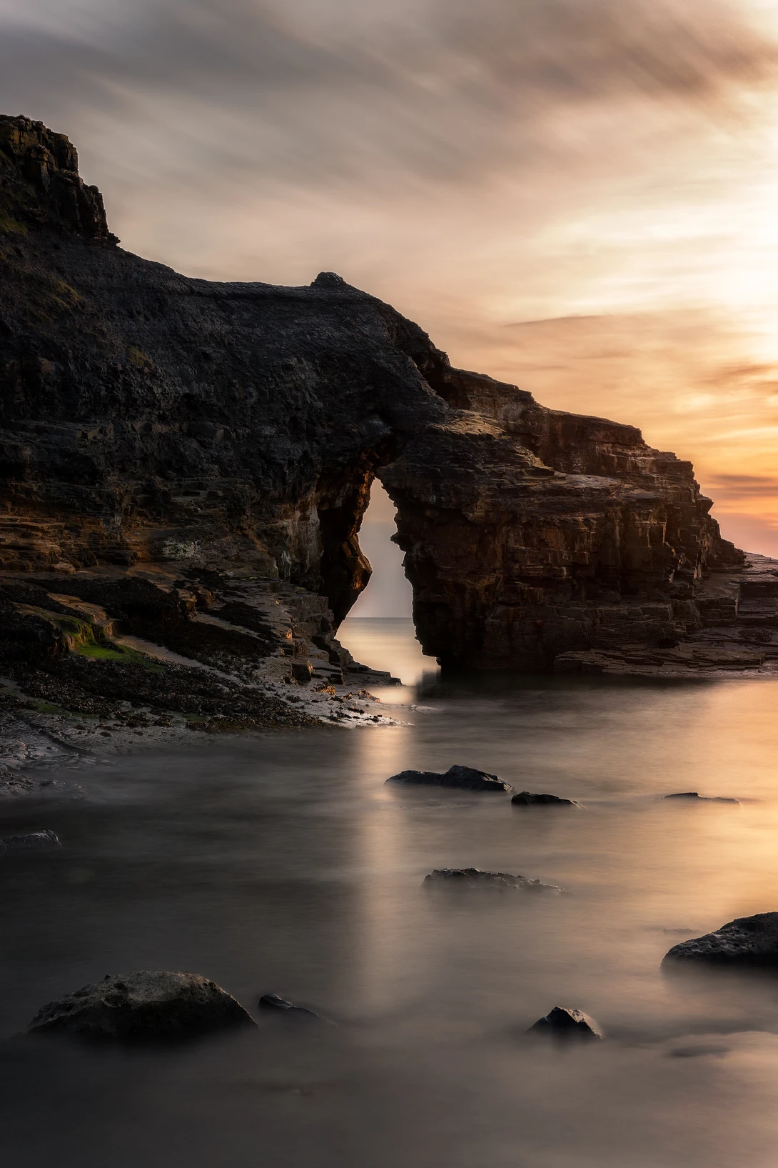 View 8a5b2d3d7d37efce115e70d31af83e73.jpg by Mike O'Leary