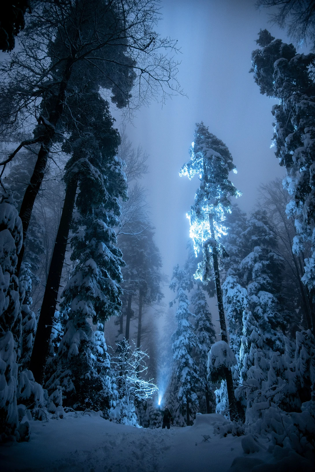 View Midnight expedition by Alex Stokic