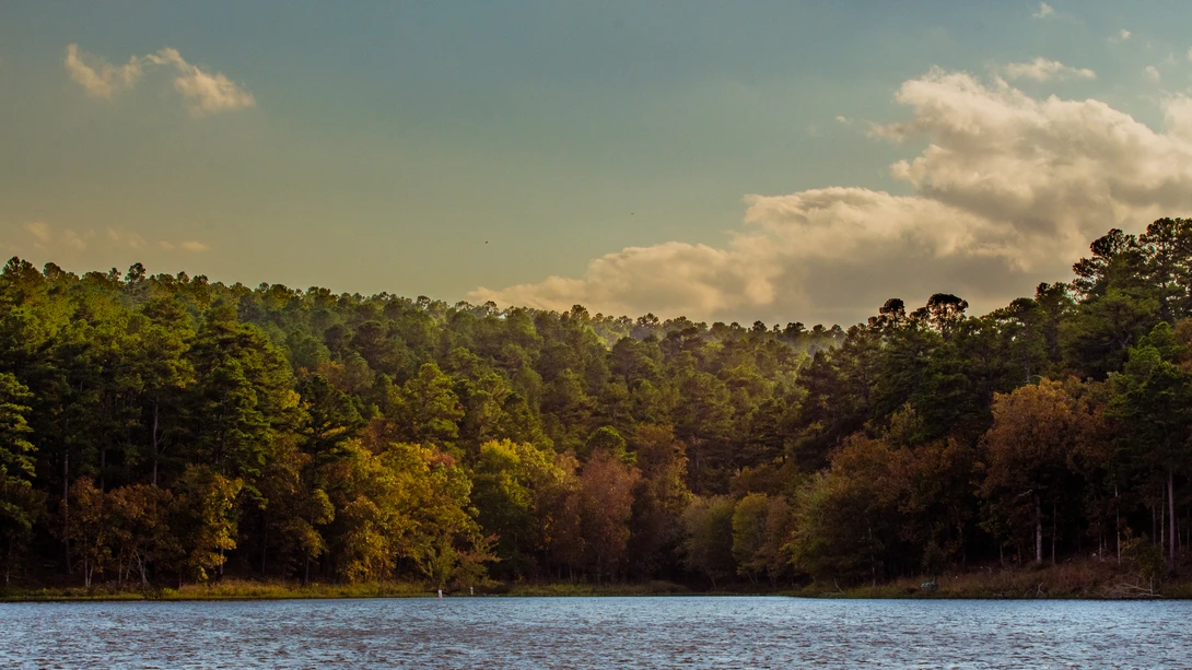 View Mother Nature's Canvas by Hunter Edwards