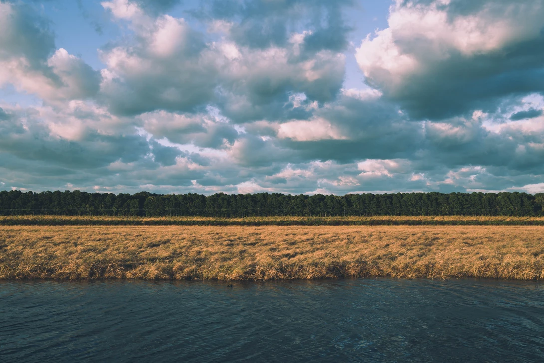 View Blackwater by Douglas Davies