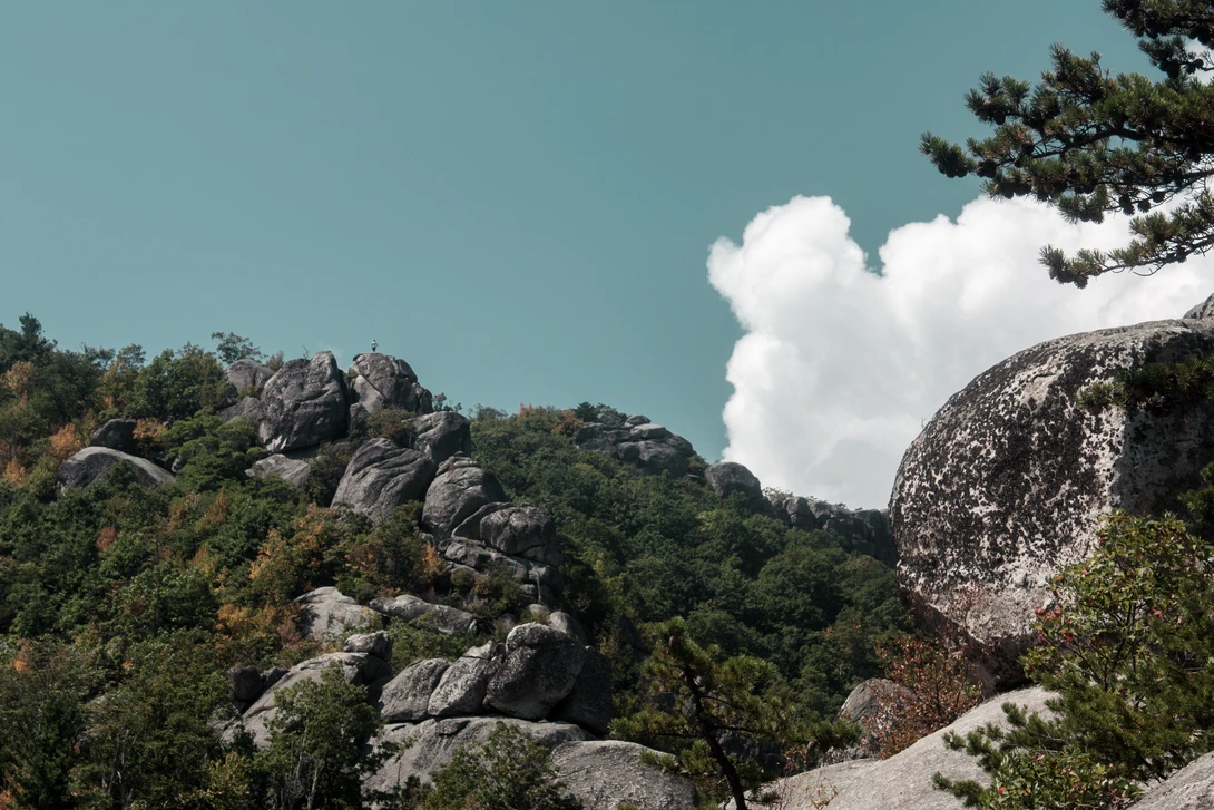 View 9862346b0ba08b06f7d3a9be96f3a04e.jpg by Douglas Davies