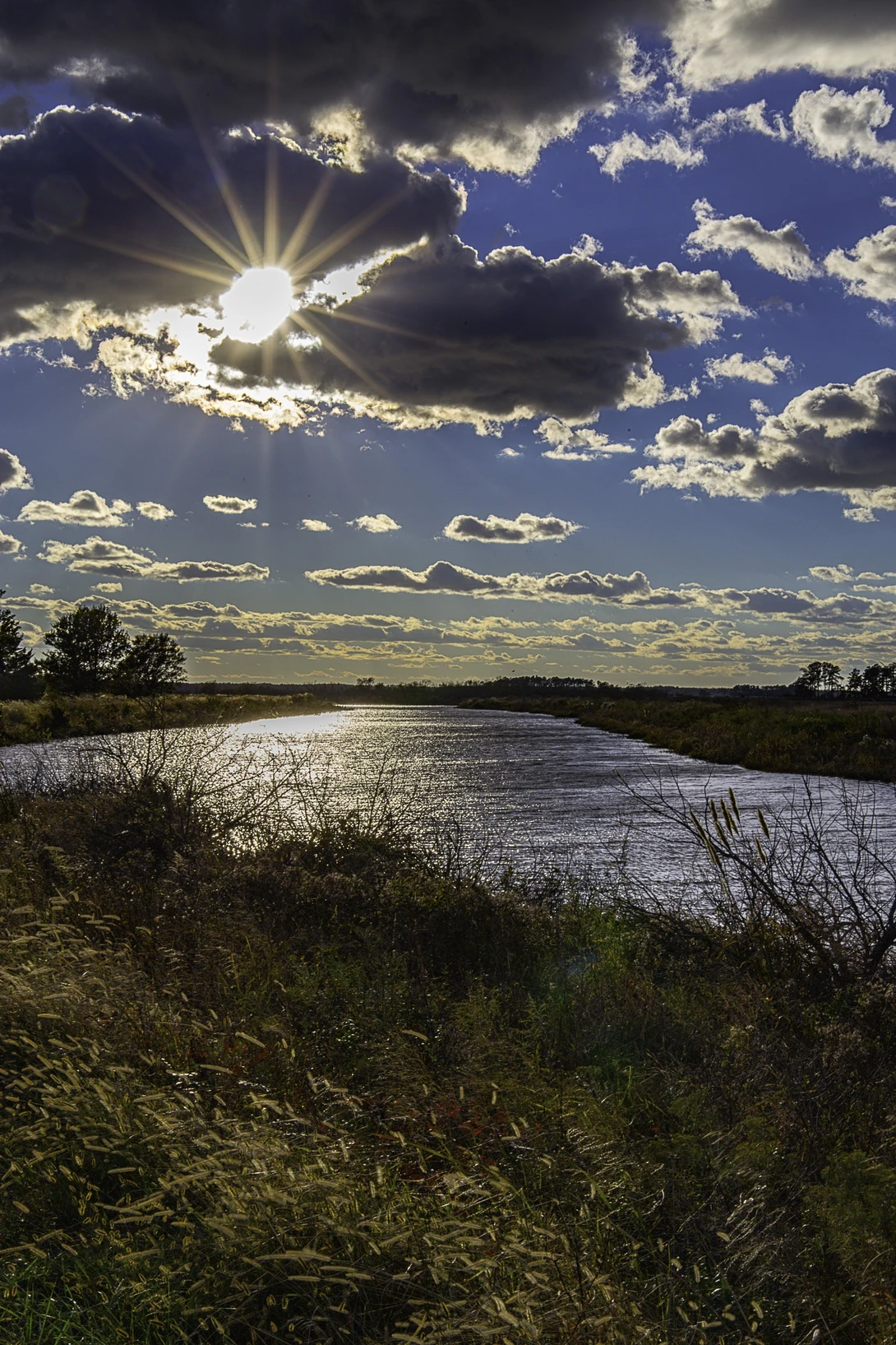 View Full Sun by Douglas Davies