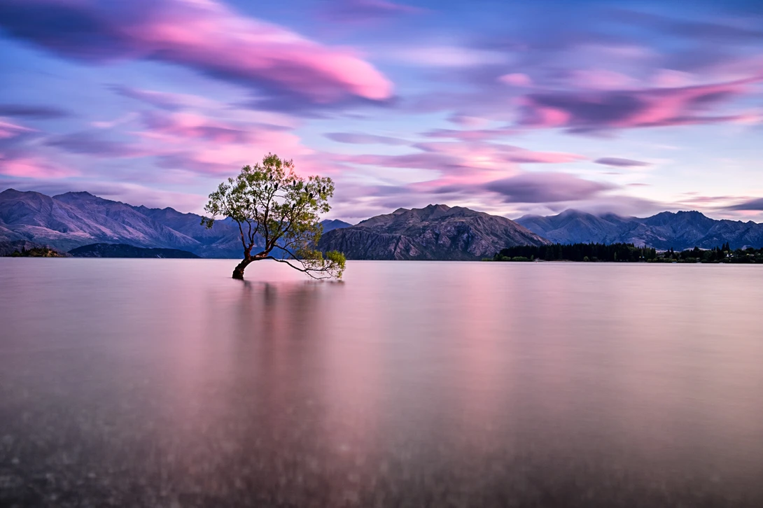 View aac851bafd3118577bbc1b2419bfeb0e.jpg by Brandon DuBois
