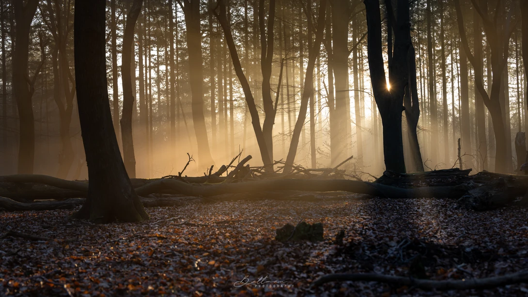 View 39a871d7a7bf655855c0fe7e6f2c5538.jpg by Matthijs Bettman