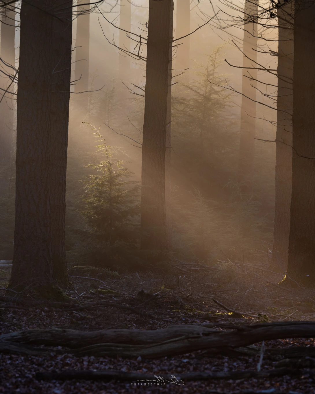 View 8b3eeb9c4abb9acf839aae1cd3b6dfa6.jpg by Matthijs Bettman