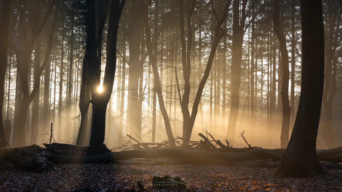 View b1bae1eb39e202b5f888d07a7ef99e6d.jpg by Matthijs Bettman