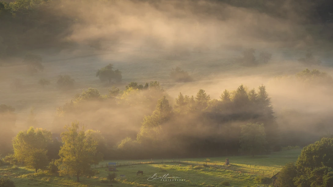 View Coming through the fog by Matthijs Bettman