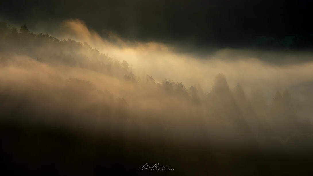 View Trees in the cloud by Matthijs Bettman