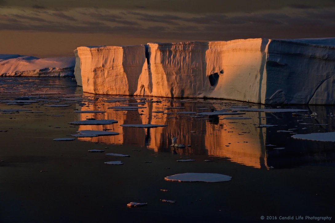View Antarctic Iceberg at Sunset by Don Campbell