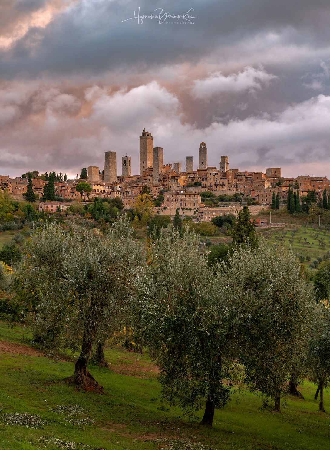 View Between olives and clouds by Hajnalka Berényi-Kiss