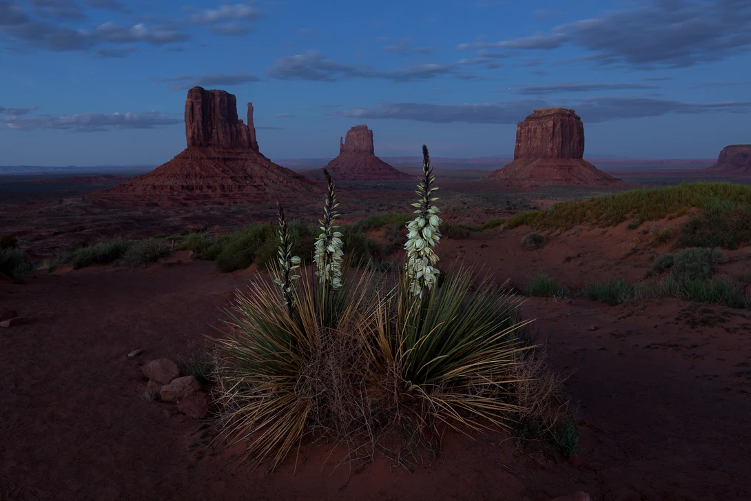 View Monument Valley Blue Hour by Nick Souvall
