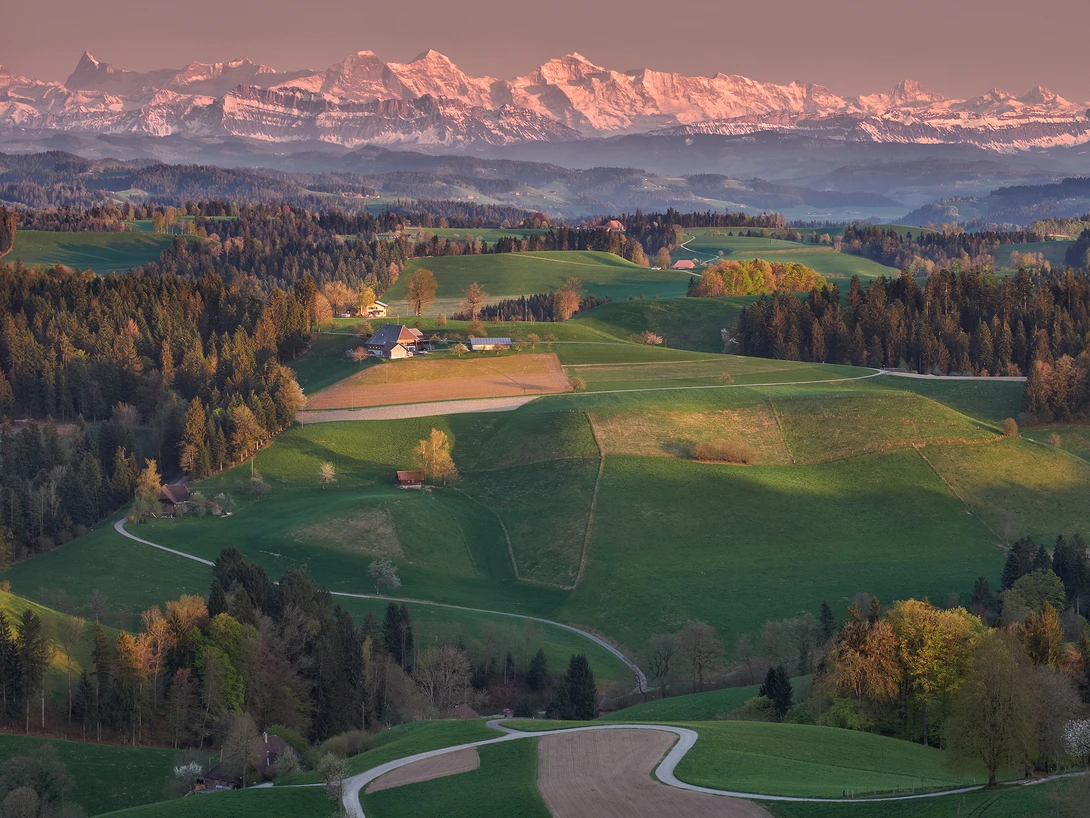 View Cheesy  - Emmental country side by Lionel Fellay