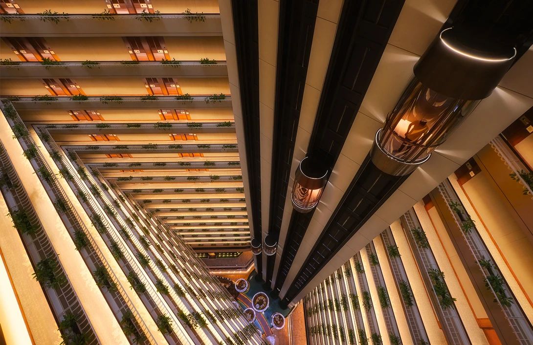 View Vertigo by Lionel Fellay