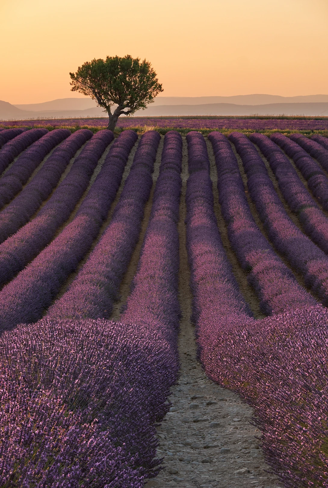 View Color explosion by Lionel Fellay