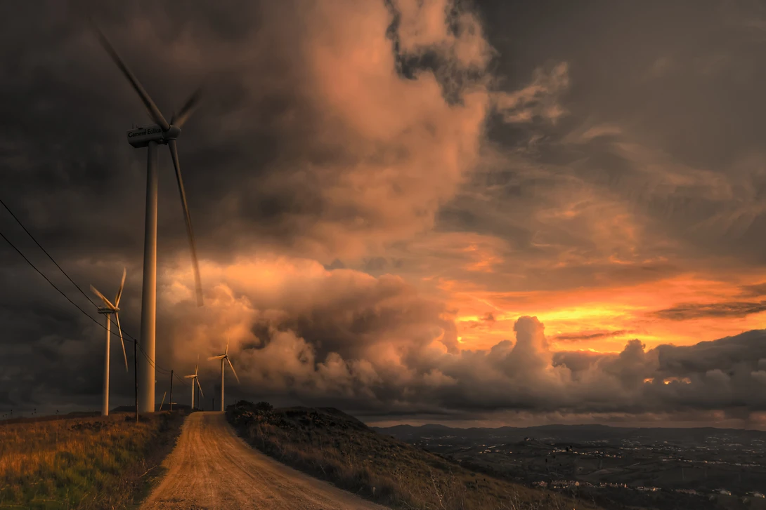 View General Cut by Miguel Martins