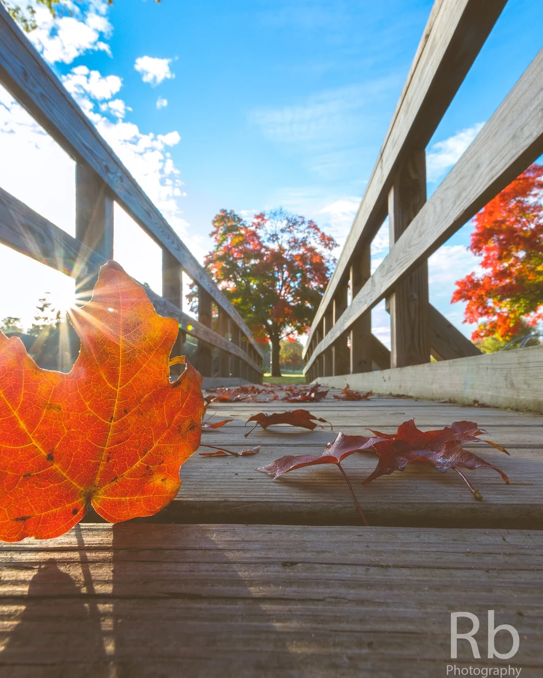 View Fall Defined by Russell Bronson