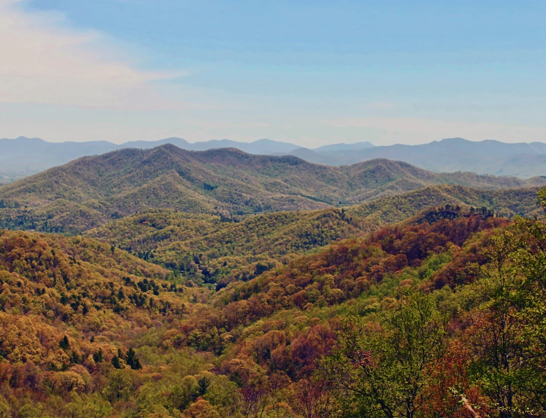 View North Georgia Mountains by Andrew Smith
