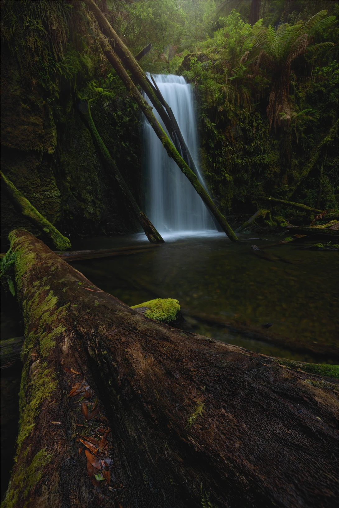 View Secret Garden by Danny Tan