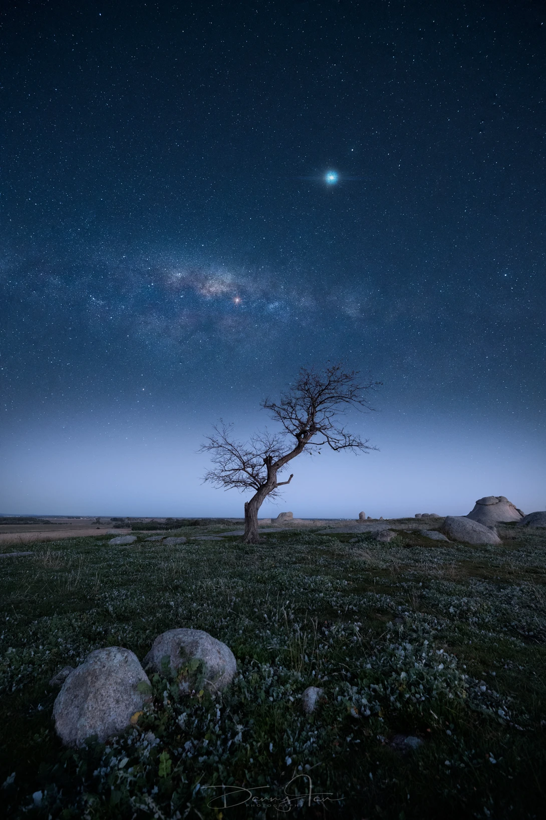 View Seclusion by Danny Tan