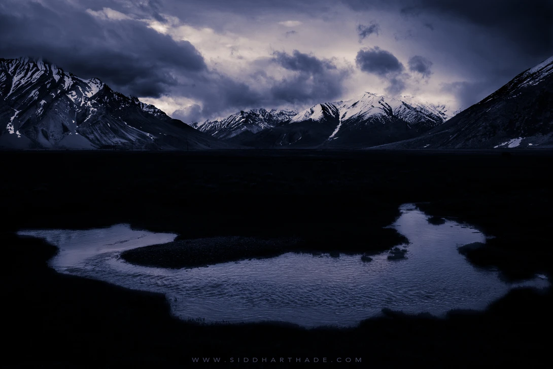 View Royal Purple by Siddhartha De