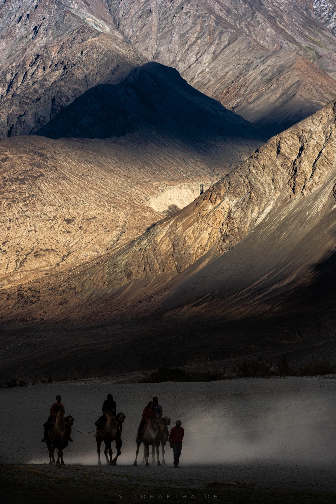 View High Desert by Siddhartha De