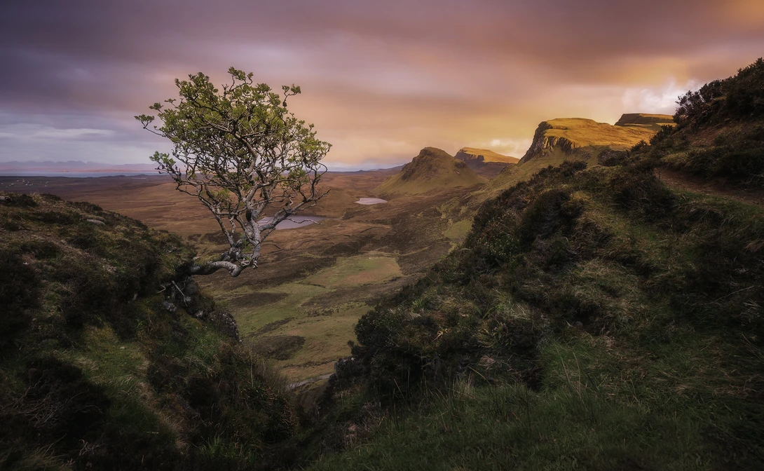 View Pretty in pink by Antoine Buchet